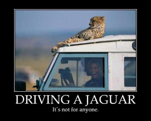 car-joke-funny-humor-Driving-a-Jaguar [ Driving A Jaguar ]