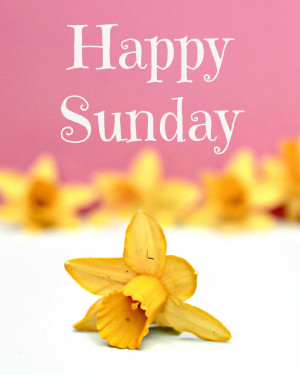 happy sunday quotes pictures facebook