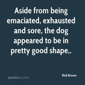 Aside from being emaciated, exhausted and sore, the dog appeared to be ...