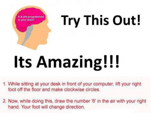 Funny Fact about Your Brain