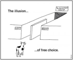 Freedom of choice