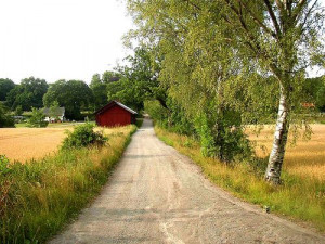 Love this.: Old House, The Roads, Favorite Places, Country Roads, Back ...