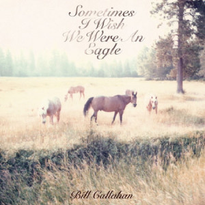 Bill Callahan – Sometimes I Wish We Were an Eagle