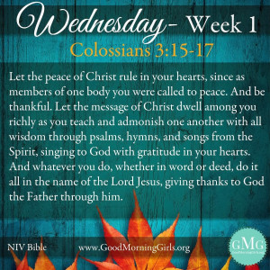 Displaying 18> Images For - Christian Gratitude Quotes...