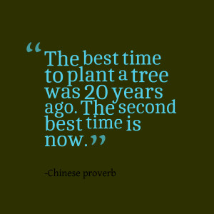... best time to plant a tree was 20 years ago the second best time is now