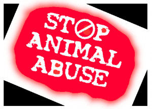 Stop Animal Abuse Image