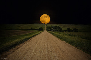 HQ] Road to Nowhere, Harvest Moon #25068