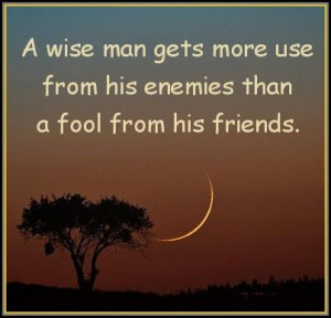 ... wise-man-gets-more-use-from-his-enemies-than-a-fool-from-his-friends