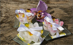 ... unique sayings and quotes to inspire you and give you ideas for your