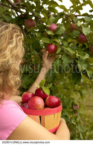 Visualphotos Image Woman