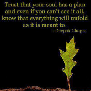Trust that your soul has a plan and even is you can't see it all, know ...