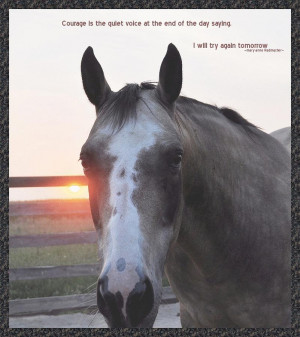 Horse And Sunset With Courage Quote Photograph