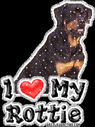 Cute Rottweiler Quotes