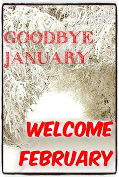 Goodbye January Welcome February More