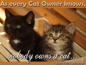 As every cat owner knows, nobody owns a cat.