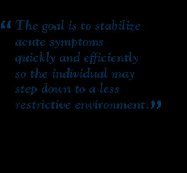 stabilization services the stabilization program provides quality care ...