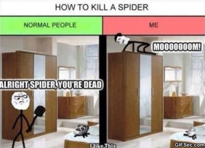 Funny-2014-How-to-Kill-A-Spider.jpg