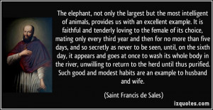 St Francis Animals Quotes More saint francis de sales