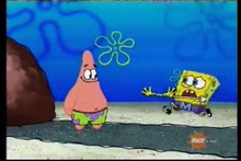 Is it time already to ruin Squid's day? Hey, SpongeBob, don't start ...