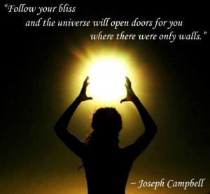 Follow Your Bliss