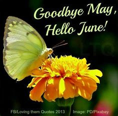 Goodbye May, hello June! via Loving Them Quotes on Facebook More