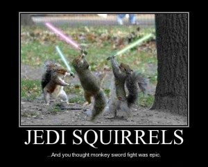 Jedi Squirrels fighting with lightsabers