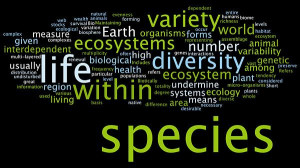 definitions of words | Does the word biodiversity hinder public ...