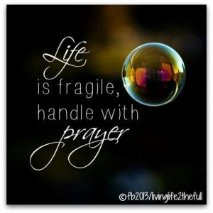 Life is fragile