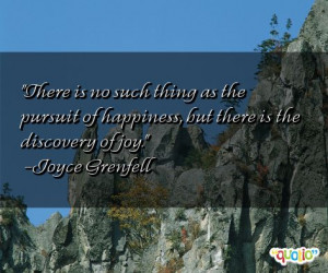 There is no such thing as the pursuit of happiness , but there is the ...