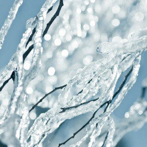 ... photography - wall art icicles snow clickety 