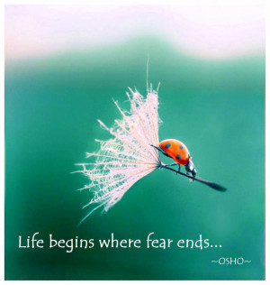 ... begins where fear ends... Wisdom Life Motivational Fear Quote ~ Osho