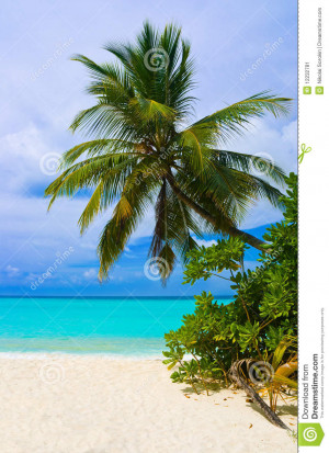images of Waves Tropical Island Palm Trees Beach Stock Vector Pictures ...