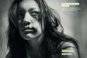RSPCA and Domestic Violence