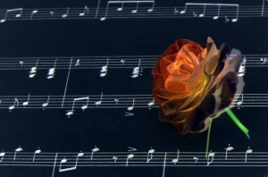 Best beatles love song quotes