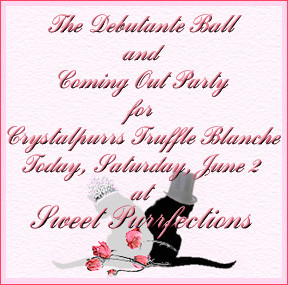 Birthday Quotes For Little Brother Little brother, beignet,