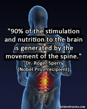 90% of the stimulation and nutrition to the brain is generated by the ...