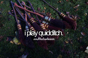 play quidditch. why is there no quidditch league here?