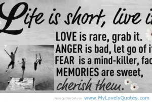 life and happiness quotes beauty life life quote life quotes