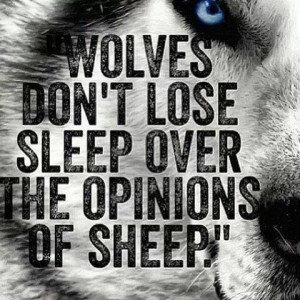 Wolves don't lose sleep over the opinions of sheep.