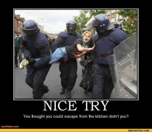 funny pictures,auto,police,woman,demotivation,kitchen,sexism