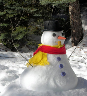 Related Pictures quotes about snow and ice quotes about snow