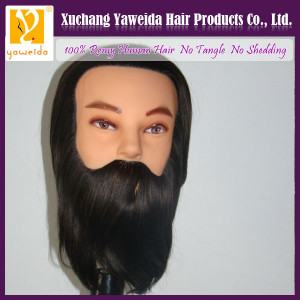 Training Head/Mannequine Head > 100% human hair mannequin head