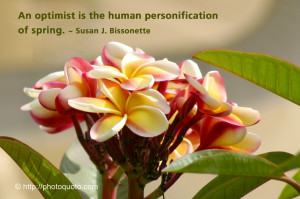 quote spring quotes about spring quotes for spring quotes on spring ...