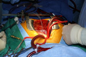 ... Mention Immigrationvoice Or Bubbles Powerpuff Girls Quotes Wallpaper