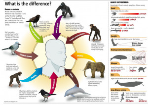 humans vs animals by jasmin source mar 9th 2012 jasmin 449