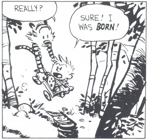 Calvin and Hobbes: Make the World a Better Place