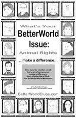 Animal Rights Quotes