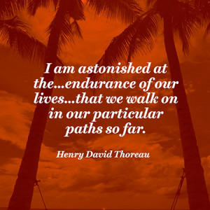 Quotes Endurance Astonished Henry David Thoreau 480x480jpg