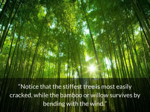 bruce lee quotes Notice that the stiffest tree is most easily cracked ...