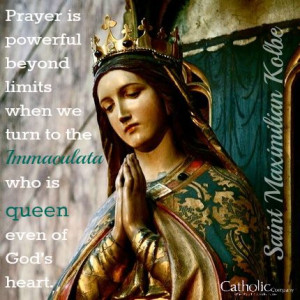 ... Immaculata who is queen even of God's heart.